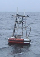 Picture of a mini buoy