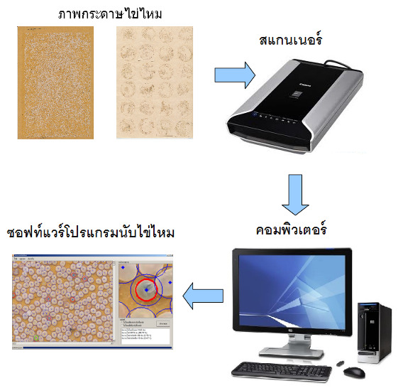 My Image 11
