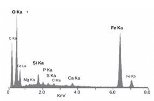 แสงกับรางวัลโนเบล