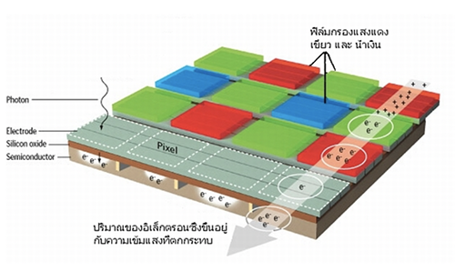 โครงสร้างของ CCD