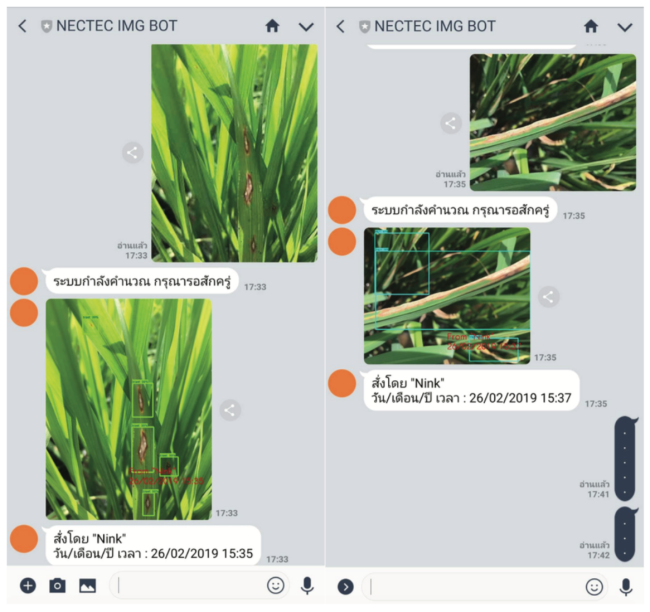 Rice Disease Linebot