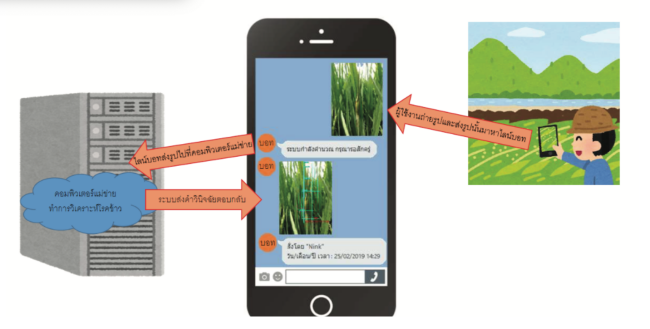 Rice Disease Linebot