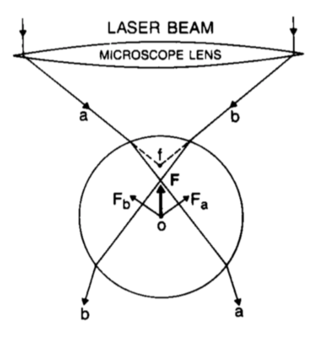 nobelprizes-optics33