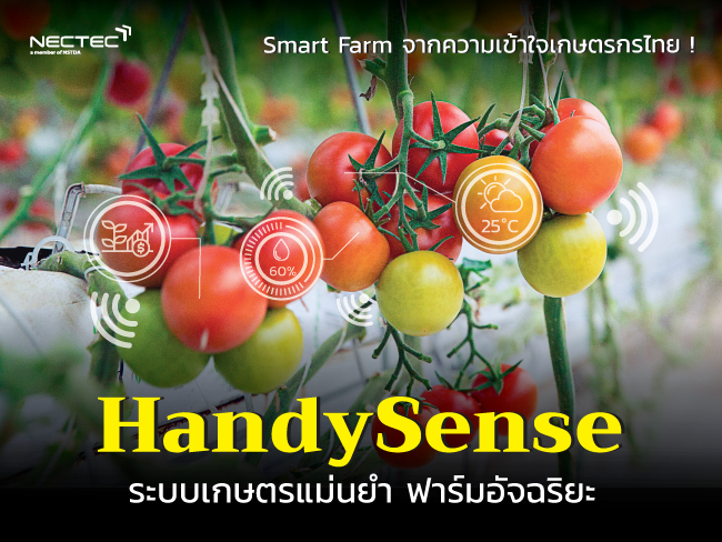 handy-sense-interview
