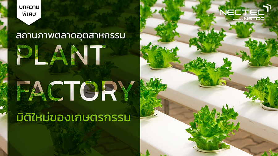 Plant Factory