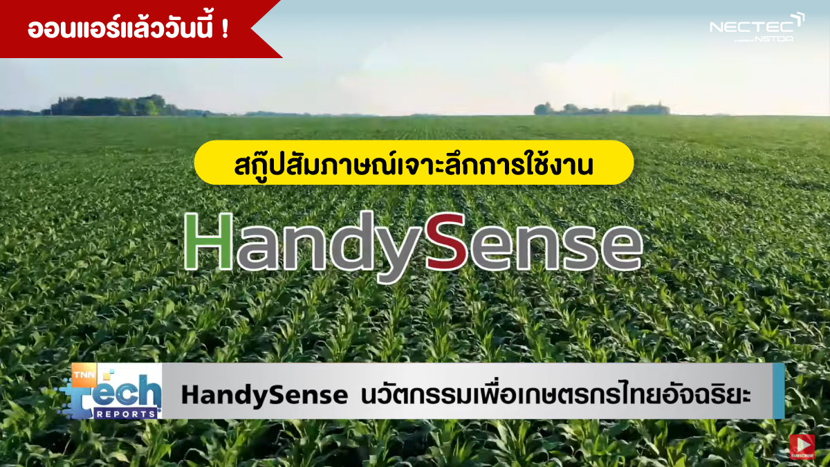 ้hds-tnn-2021