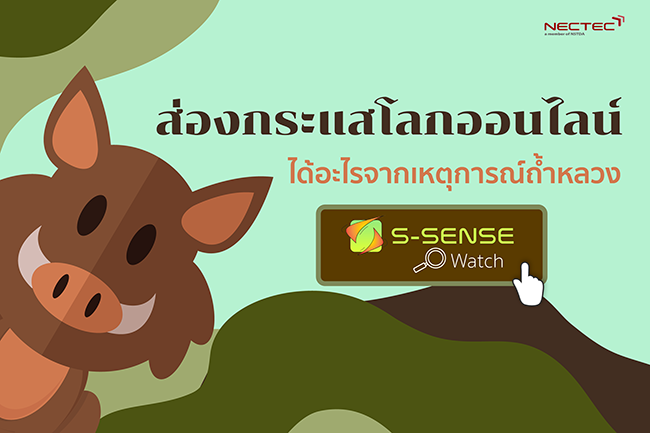 หมูป่า ถ้ำหลวง