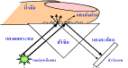 BE308_005.jpg