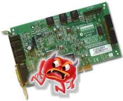 virus