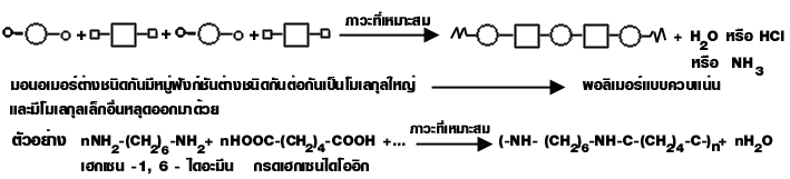 ซิ ลิ โคน 350cc