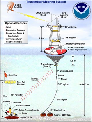 Tsunami warning system