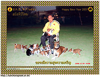 New Year Card 2007 Thumbnail