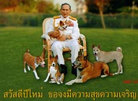 New Year Card 2008 Thumbnail