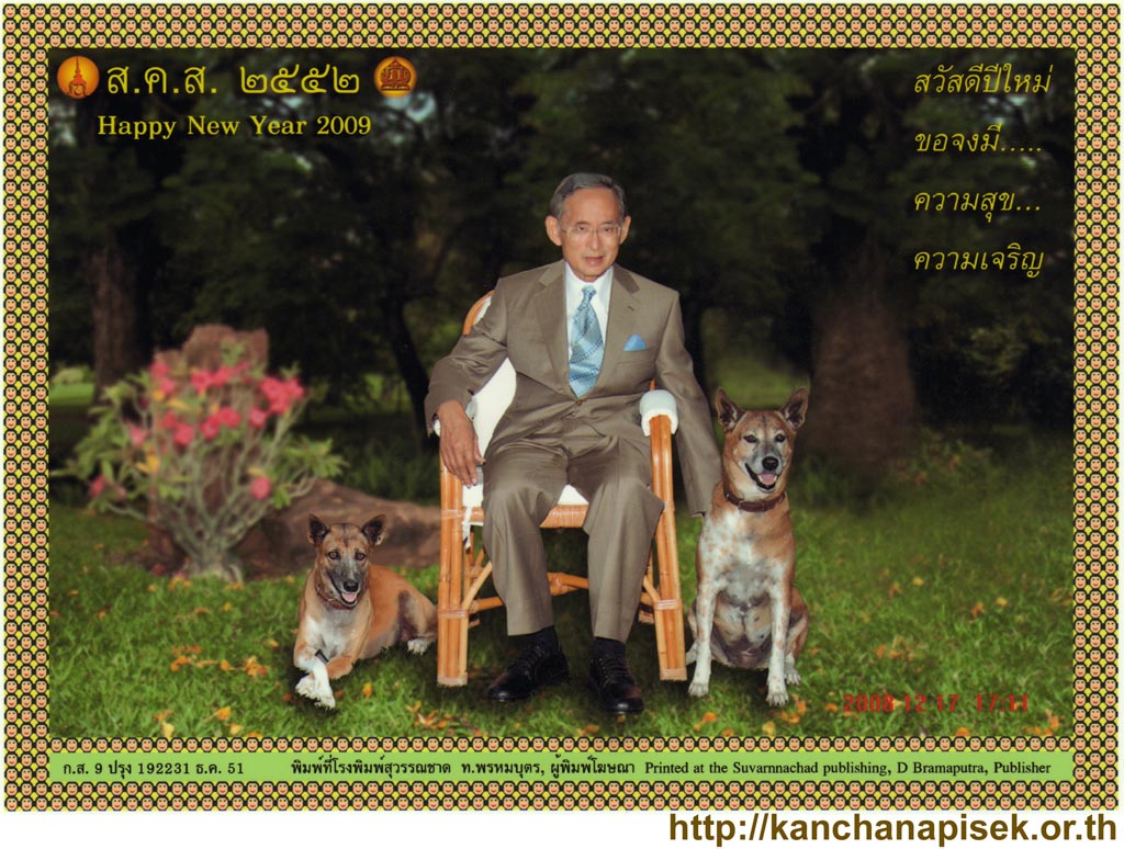 the new year card, 1024 pixels, 220KB.