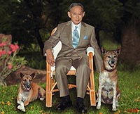 New Year Card 2009 Thumbnail