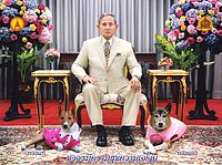 New Year Card 2011 Thumbnail