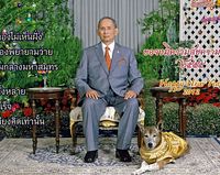 New Year Card 2012 Thumbnail