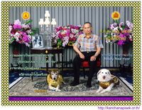 the new year card, 200 pixels, 25KB.