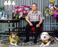 New Year Card 2013 Thumbnail